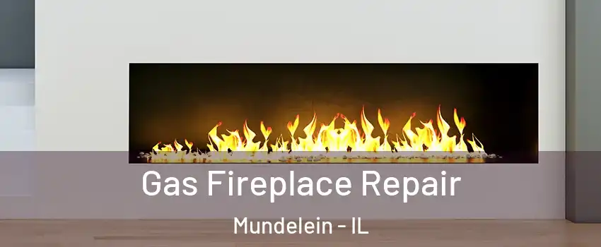  Gas Fireplace Repair Mundelein - IL