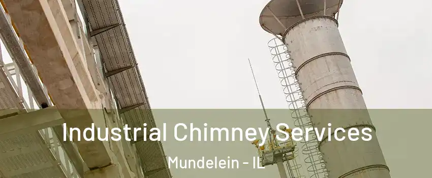  Industrial Chimney Services Mundelein - IL