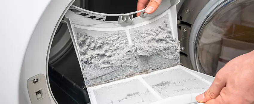 Best Dryer Lint Removal Company in Mundelein, Illinois