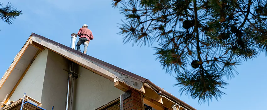 Birds Removal Contractors from Chimney in Mundelein, IL