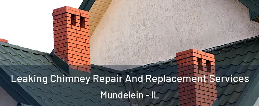 Leaking Chimney Repair And Replacement Services Mundelein - IL
