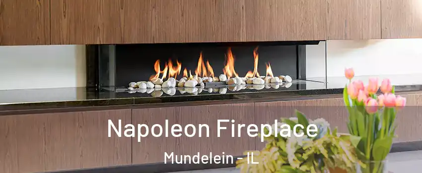  Napoleon Fireplace Mundelein - IL