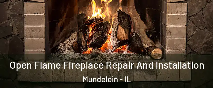  Open Flame Fireplace Repair And Installation Mundelein - IL