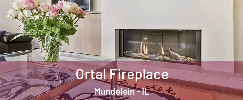 Ortal Fireplace Mundelein - IL