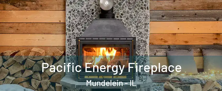 Pacific Energy Fireplace Mundelein - IL