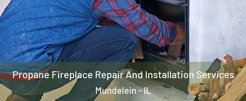  Propane Fireplace Repair And Installation Services Mundelein - IL