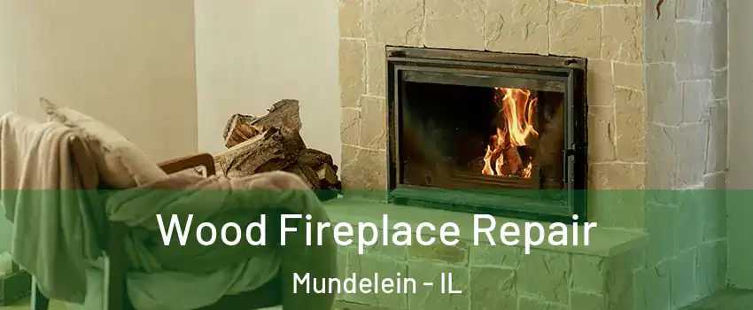  Wood Fireplace Repair Mundelein - IL